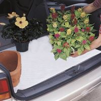Picture for category Plain Trunk Mats