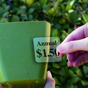 Picture of Clear Thermal Transfer Pressure Sensitive Labels